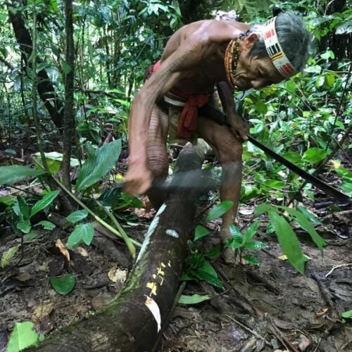 photo - Mentawai Travel - 25