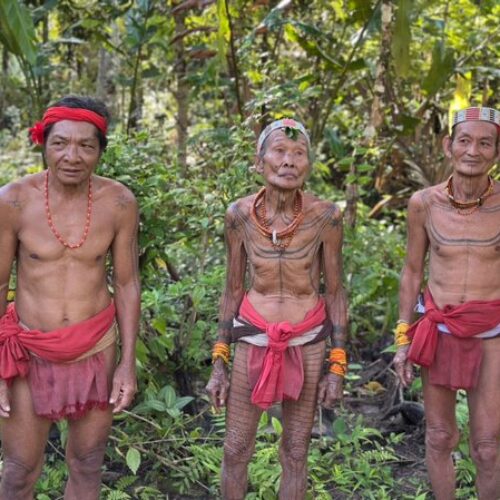 photo - Mentawai Travel - 7