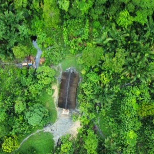 photo - Mentawai Travel - 8